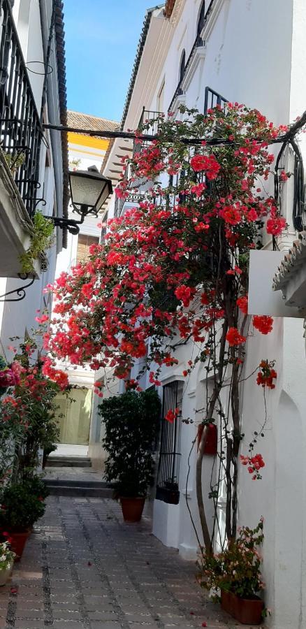 Apartament Precioso Y Acogedor Atico Old Town Marbella Zewnętrze zdjęcie
