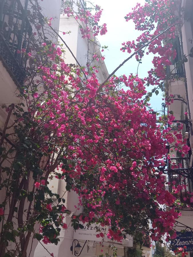 Apartament Precioso Y Acogedor Atico Old Town Marbella Zewnętrze zdjęcie
